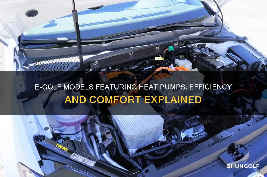 which e-golf has heat pumps