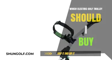 Best Electric Golf Trolley Buying Guide: Top Picks & Features