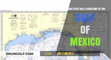 Discover the U.S. States Bordering the Gulf of Mexico's Coastline