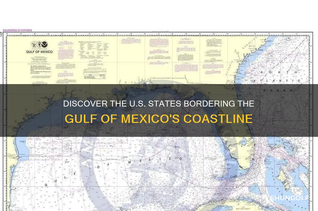 which etate has a coastline of the golf of mexico