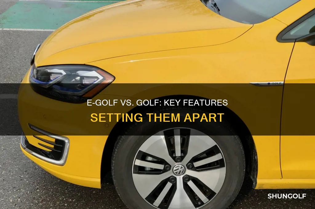 which features distinguish the e golf from other golf models