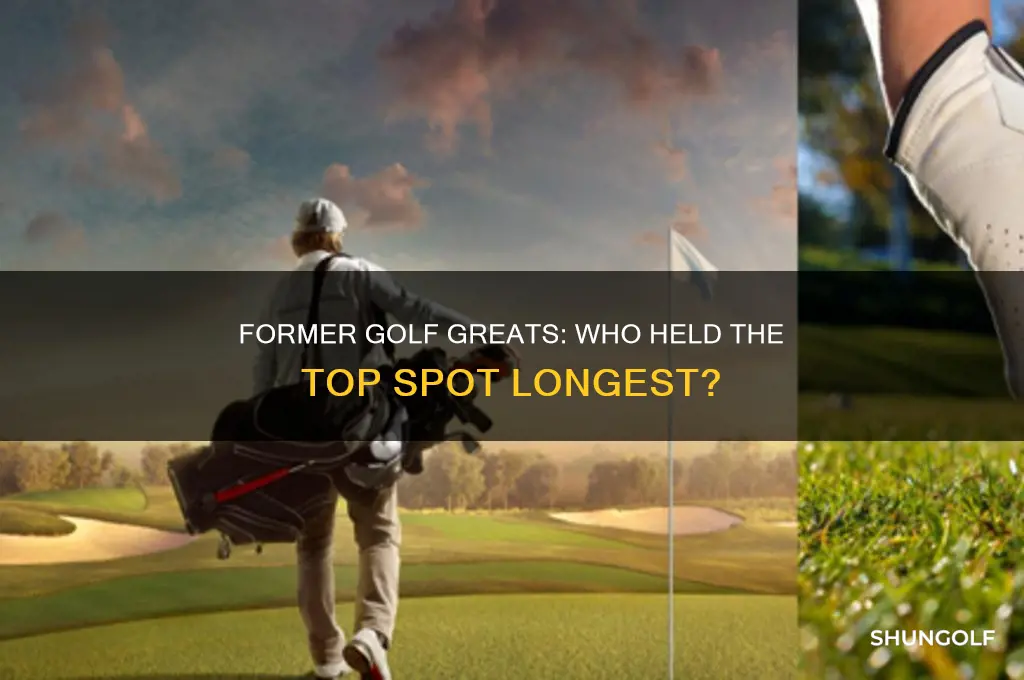which former number 1 ranked golfer