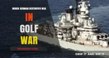 German Destroyer's Role in the Gulf War: Uncovering the Truth