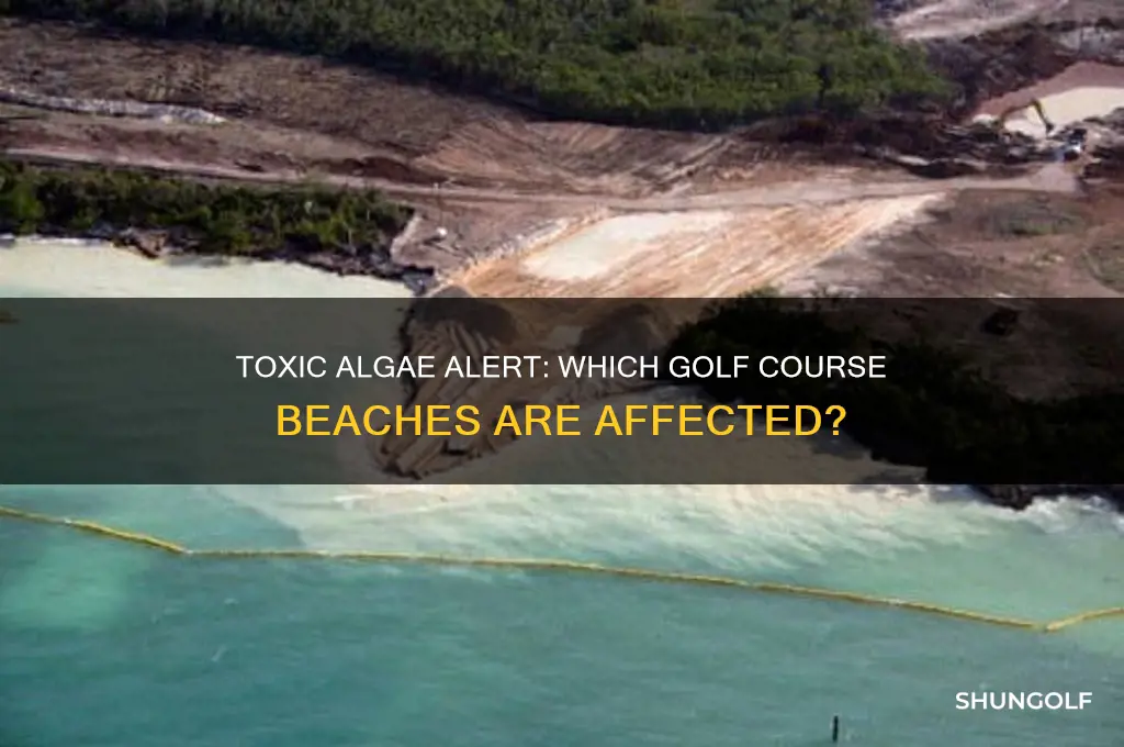 which golf beach have the toxic algae