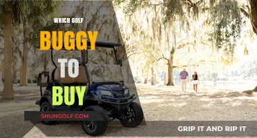 Choosing the Perfect Golf Buggy: A Comprehensive Buyer's Guide