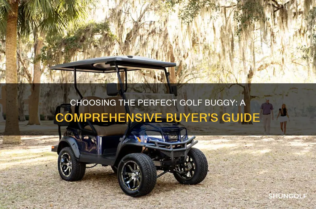 which golf buggy to buy