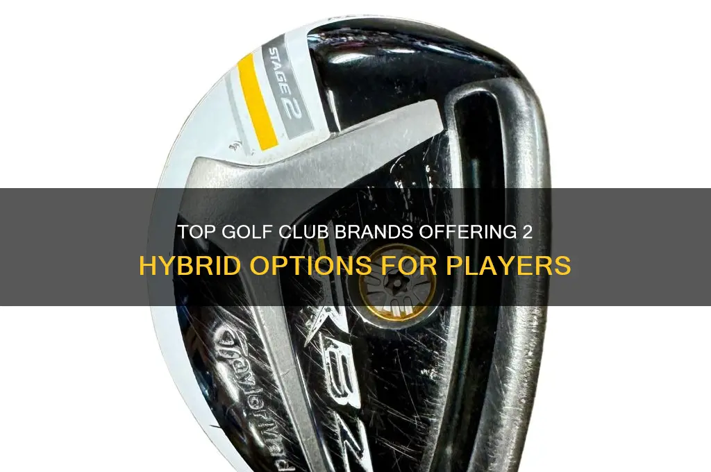 which golf club companies have a 2 hybrid