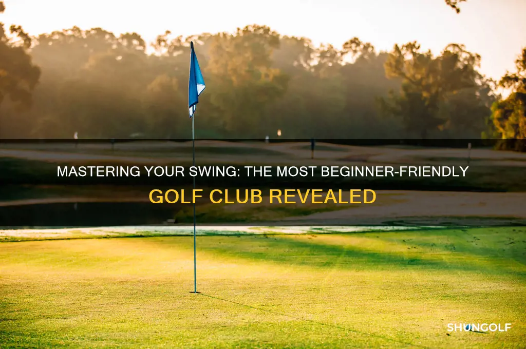 which golf club is easiest to hit