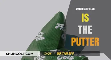 Mastering the Green: Understanding the Role of the Putter in Golf
