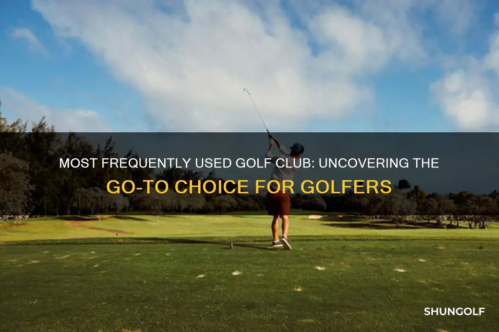 which golf club is used the most