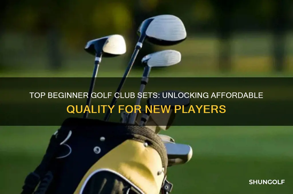 which golf club set offers the best value for beginners