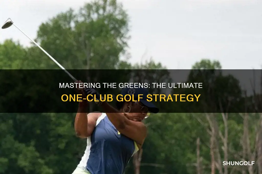 which golf club to use if can only use one