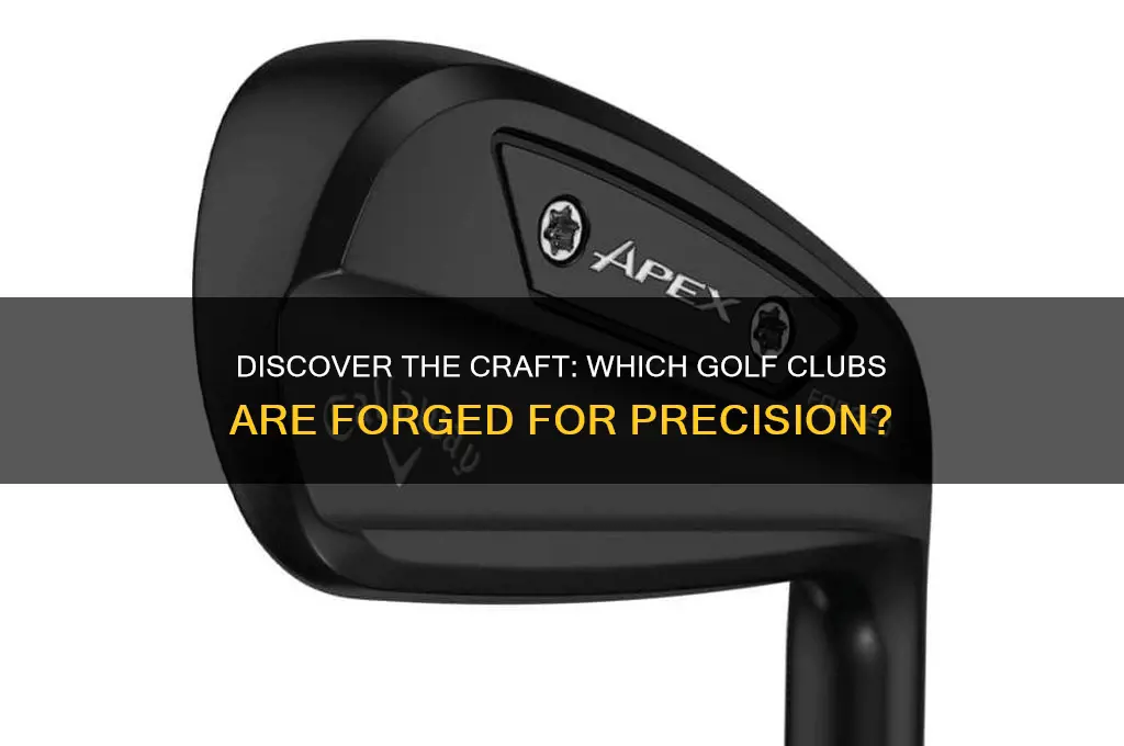 which golf clubs are forged