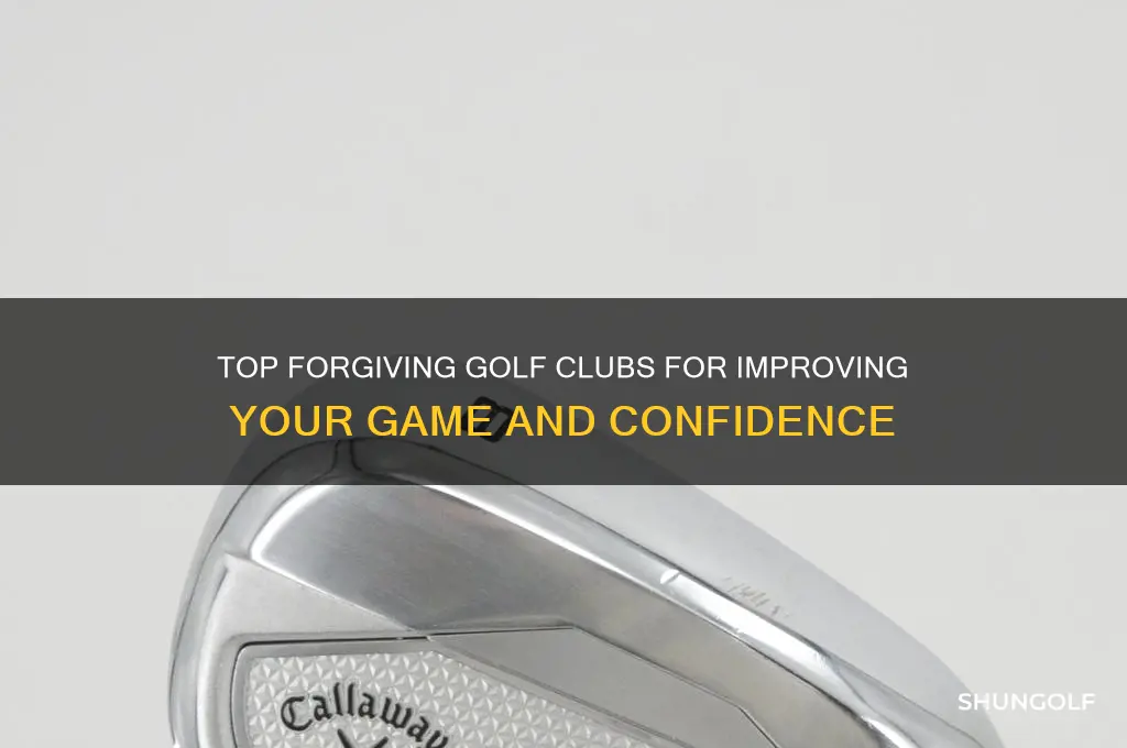 which golf clubs are most forgiving