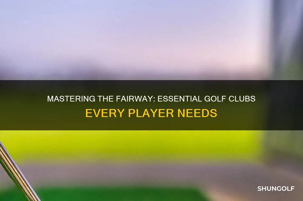 which golf clubs are most inportant