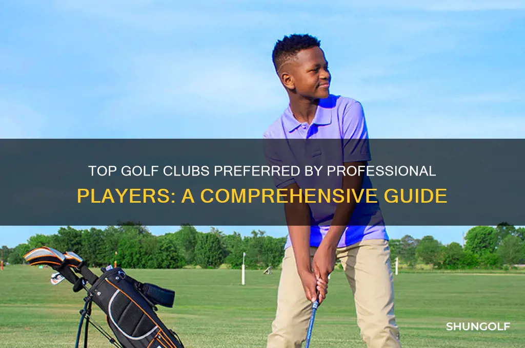 which golf clubs are most used by professionals