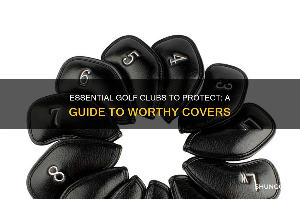 which golf clubs are worth covering