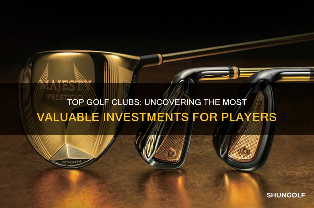 which golf clubs are worth more