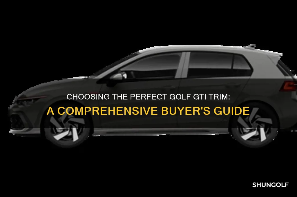 which golf gti trim should i buy