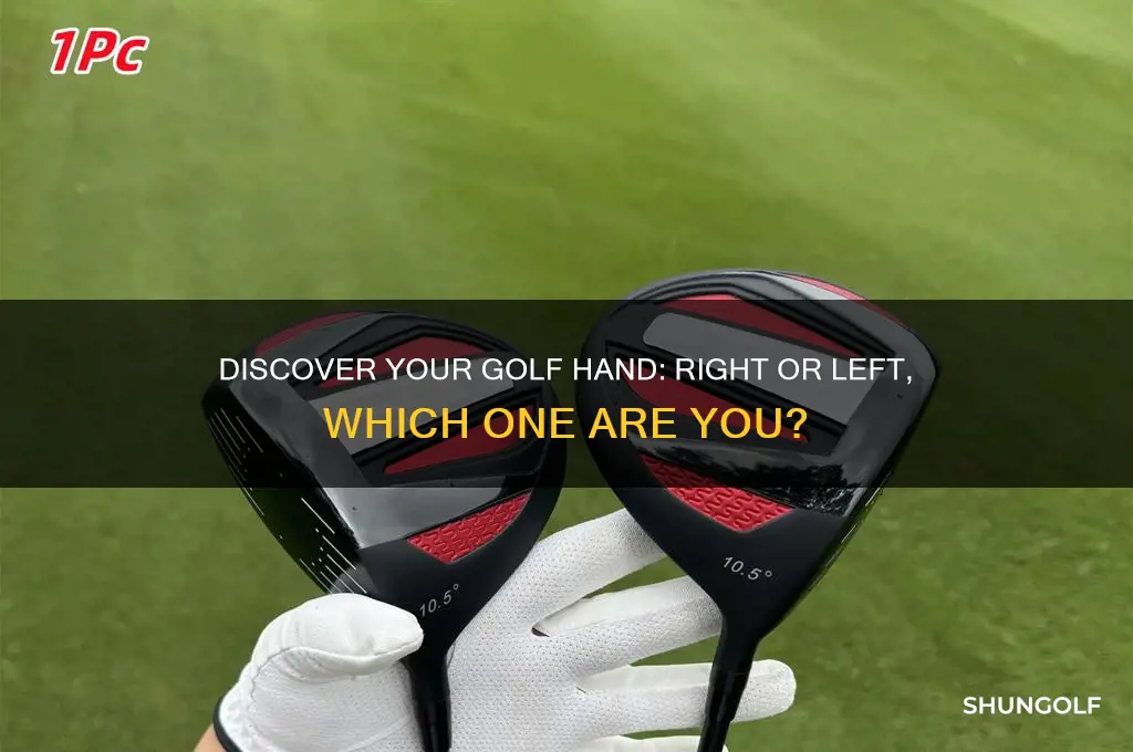 which golf hand am i