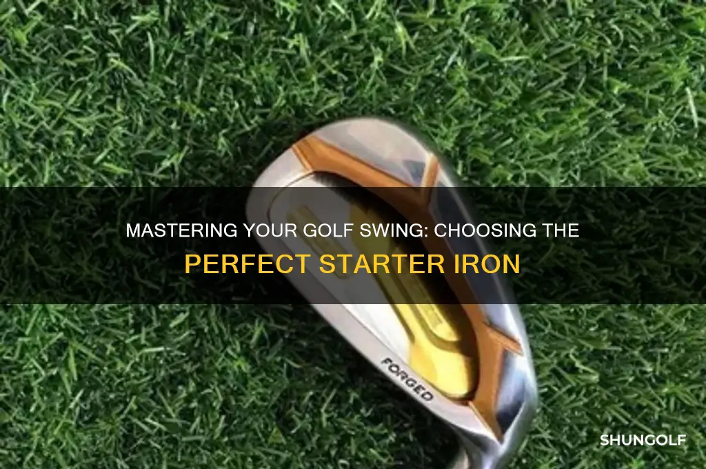 which golf iron to start with