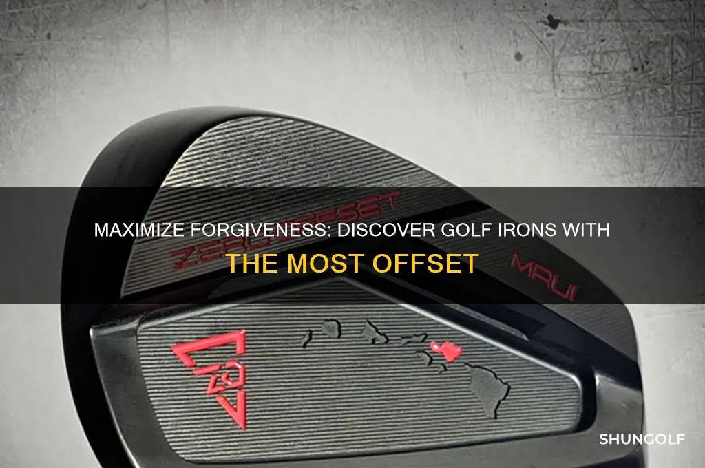 which golf irons have most offset