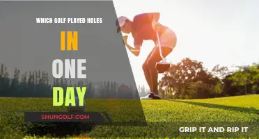 From Tee to Green: Golfers Who Mastered the One-Day Hole-in-One Challenge