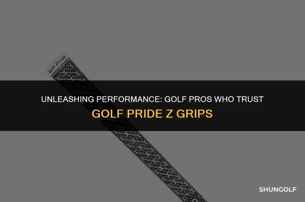 which golf pros play golf pride z grips