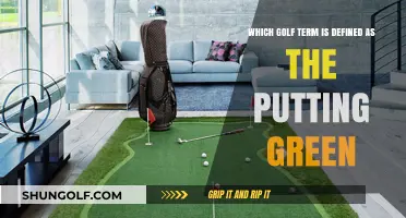 Understanding Golf: What's the Term for the Putting Green?
