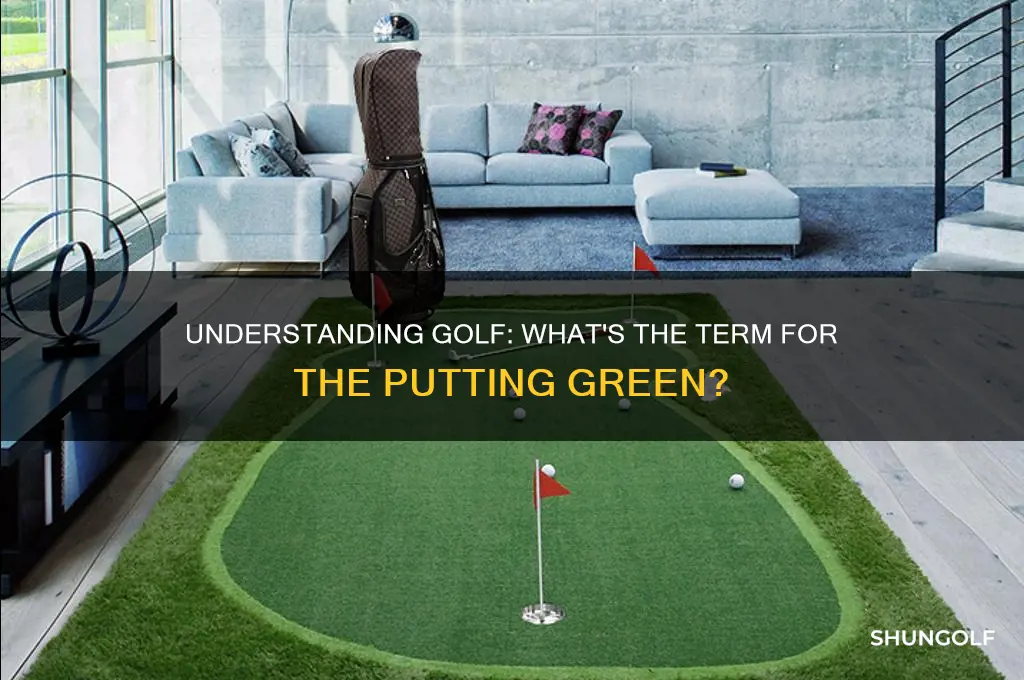 which golf term is defined as the putting green