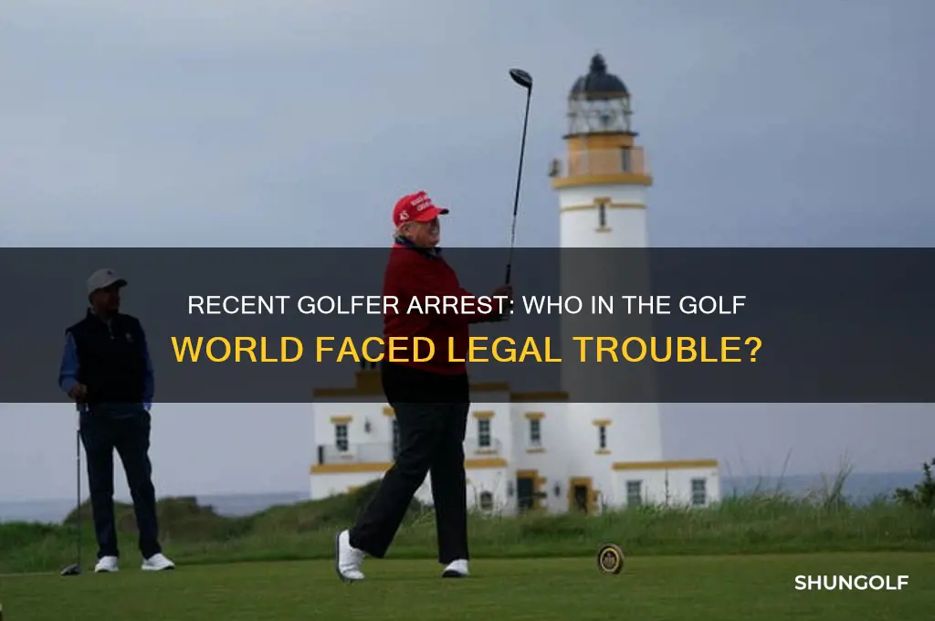 which golfer got arrested recently