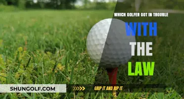 Golfers in Legal Trouble: Famous Players Who Faced Legal Issues