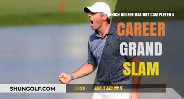 Golf's Elusive Grand Slam: Who's Missing the Major Win?