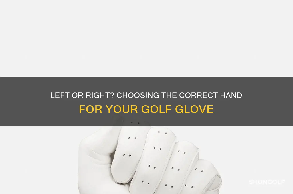 which hand do i need a golf glove for