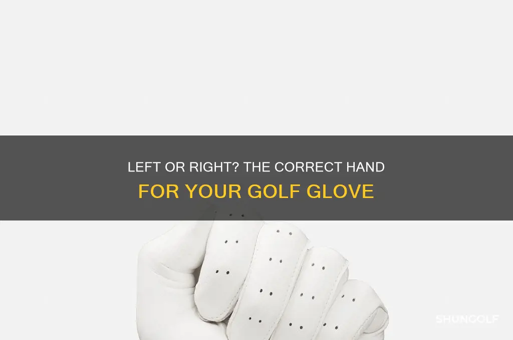 which hand do place a golf glove on