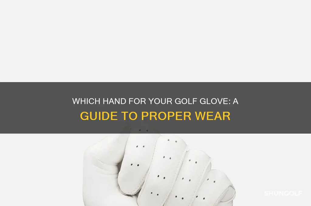 which hand do you wera a golf glove