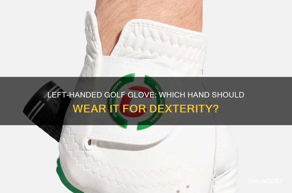 which hand is a lefr dexterity golf gove worn