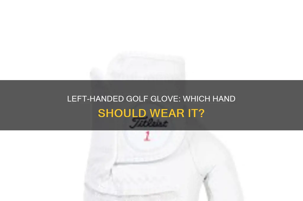 which hand is a left dexterity golf gove worn