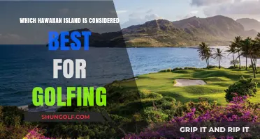 Teeing Off in Paradise: Hawaii's Premier Golfing Destination Revealed