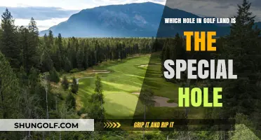 The Signature Hole: Golf's Most Iconic and Challenging Landmark
