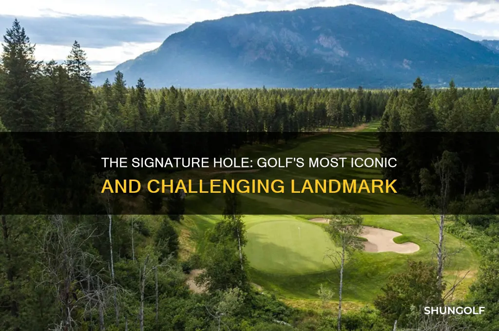 which hole in golf land is the special hole
