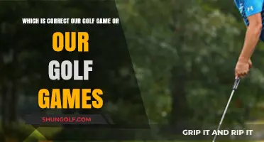 Our Golf Game vs. Our Golf Games: Which Usage is Correct?