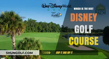 Top Disney Golf Courses: A Guide to the Best Fairways