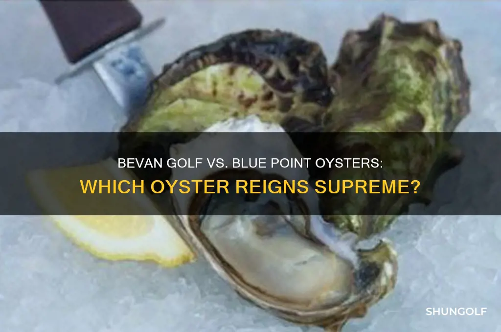 which is the better oyster bevan golf or blue point