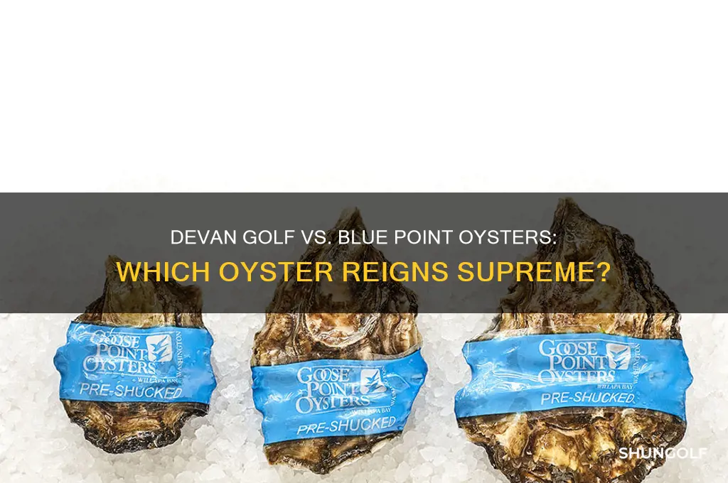 which is the better oyster devan golf or blue point
