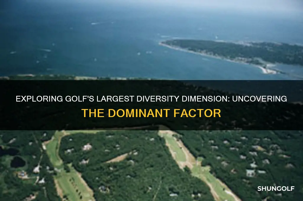 which is the biggest dimension of diversity in golf