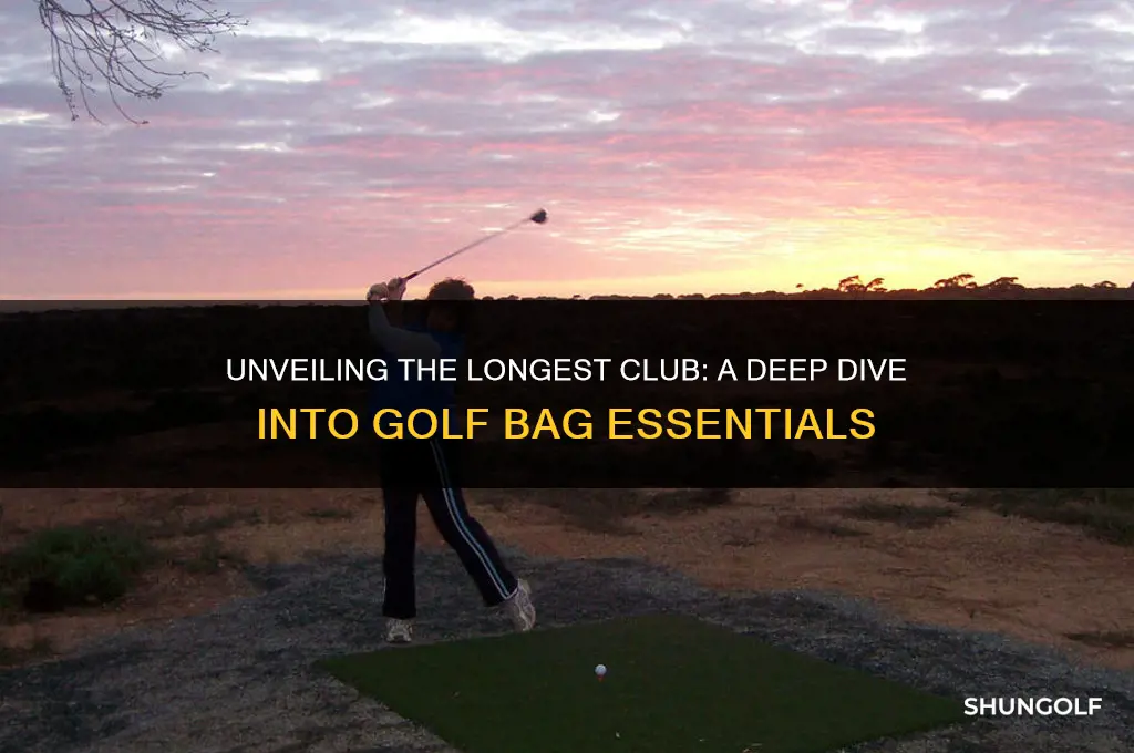 which is the longest club in the golf bag