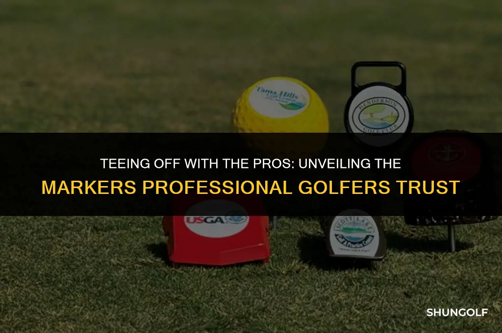 which markers do professional golfs play
