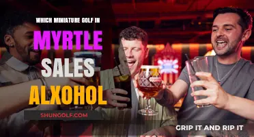 Miniature Golf in Myrtle Beach: Where to Play and Enjoy Alcohol