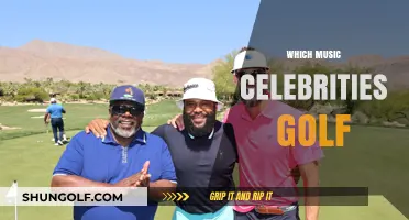 Celeb Swingers: Music Stars Who Love Golfing